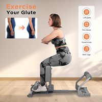 Appareil de Squat en Fer et Plastique avec Bandes de Résistance pour Exercices à Domicile, Sit-ups, Entraînement Abdominal, Chaise Romaine