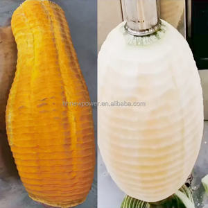 Machine à peler les fruits de coco automatique commerciale en acier inoxydable pour boulangerie, légumes, pommes de terre, garantie de 2 ans - Product Image 3