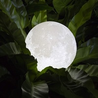 Lampes Lune 3D USB à Intensité Variable Commande Tactile pour Chambre Utilisation Intérieure avec Support en Bois Style Clair de Lune