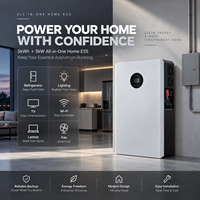 Sistem Penyimpanan Energi Baterai LiFePO4 All in One 5kWh 5kW untuk Rumah, 51.2V 100Ah dengan Inverter untuk Sistem Tenaga Surya Rumah Tangga