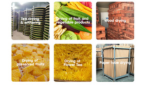 Có Thể Điều Chỉnh Nhiệt Độ Nấm Và Rau Máy Bơm Nhiệt Máy Sấy Nấm Mất Nước Máy Trái Cây Và Rau Máy Sấy Thiết Bị - Product Image 5