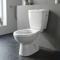 Toilette deux pièces en céramique avec housse de siège en plastique et raccords LLC-Ensemble de casseroles de salle de bain d'Inde Morvi