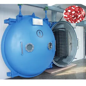 Máquina de liofilización industrial Liofilizador Congelación de alimentos Secador de vacío Precio de secado Máquina de equipos