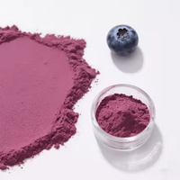 Poudre d'extrait de myrtille naturelle de haute qualité, lyophilisée, ingrédients pour Bubble Tea SAGO, sac de 1 kg