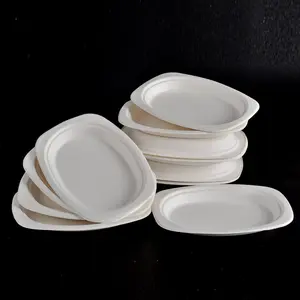 Platos rectangulares de pulpa de caña de azúcar biodegradable, platos de mesa para uso en el hogar