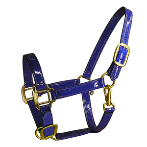 Harnais en cuir verni, couvre-cage pour <span class=keywords><strong>cheval</strong></span> en cuir microfibre, largeur du <span class=keywords><strong>sangle</strong></span> 26 mm, LT4008, Chine - Product Image 4