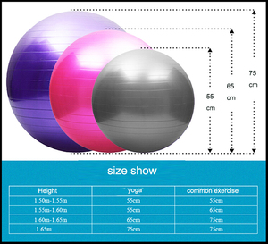 Équipement sportif d'exercice <span class=keywords><strong>Fitness</strong></span> Gym Ball Yoga Pilates Yoga Ball 25 35 45 55 65 <span class=keywords><strong>75</strong></span> <span class=keywords><strong>cm</strong></span> avec ensemble de pompe à air - Product Image 5