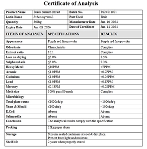 Pasokan pabrik bubuk ekstrak kismis hitam bubuk ekstrak <span class=keywords><strong>Blackcurrant</strong></span> Blueberry - Product Image 4