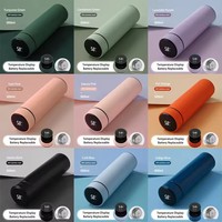 Bouteille d'eau en acier inoxydable isolée sous vide avec affichage LED de qualité supérieure avec infuseur à thé