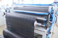 Machine d'extrusion monovis PE/PP pour la production de profilés géocellulaires et de feuilles de paille, co-extrusion multicouche, économe en énergie, faible bruit
