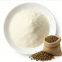 Poudre de vitamines Bifidobacterium de qualité alimentaire, haute activité, additif alimentaire pour animaux d'élevage, volailles, aquaculture, 25 kg/sac, 2 ans