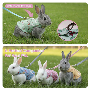 Harnais et laisse rétro pour lapin, laisse pour <span class=keywords><strong>cochon</strong></span> <span class=keywords><strong>d</strong></span>'<span class=keywords><strong>Inde</strong></span>, laisse-veste pour lapin de compagnie - Product Image 2