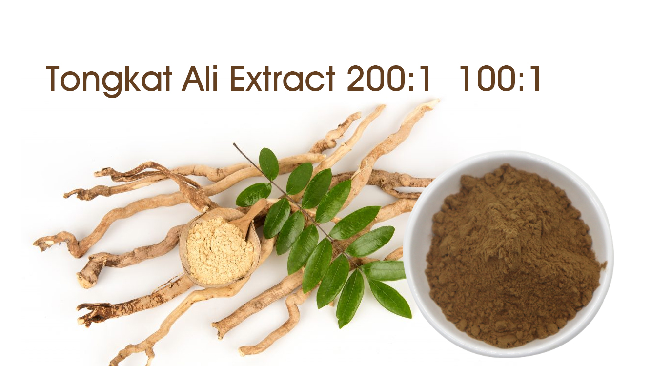 Buy Wholesale Bulk 100% Pure Tongkat Ali Root Extract Powder 200:1