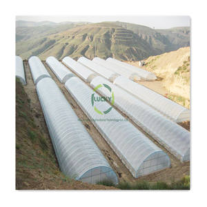 Structure Serre Per Balcone Tunnel Tete Metallique Agricoles 12X6 En Ferro Culture Champignon Mobile Agricole <span class=keywords><strong>Serres</strong></span>-Livres - Product Image 5