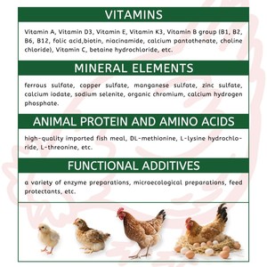 17 + Tuần trứng vàng premix 3% Probiotics & Prebiotics bổ sung cho lớp hen thức ăn - Product Image 4