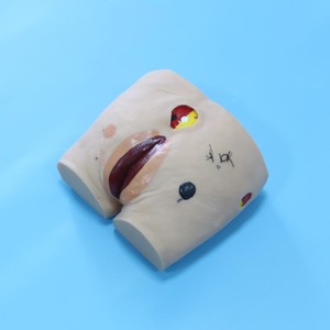 Maniquí de Enfermería para Personas Mayores Chinon BIX-H10, Modelo de Úlceras por Presión en PVC para Entrenamiento en el Cuidado de Úlceras por Presión en Hospitales y Escuelas - Product Image 6