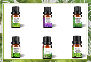 Calm Waves of <span class=keywords><strong>Bliss</strong></span>: su viaje a la serenidad con nuestra caja de aceites esenciales de masaje personalizada para una liberación dichosa definitiva - Product Image 3