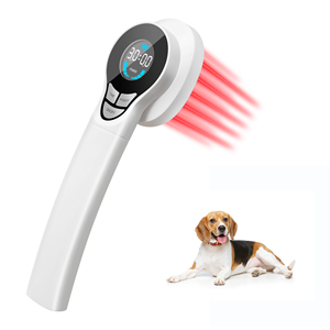 Tıbbi lazer veteriner araçları at ağrı kesici kedi yosun cilt köpek eklemler için lazer fizik tedavi cihazı - Product Image 1