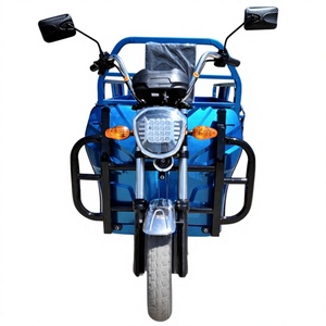 Triciclo de Carga para Transporte en Almacén, Triciclo Logístico de Carga en Venta - Product Image 5