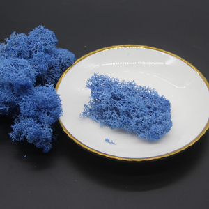 <span class=keywords><strong>Verde</strong></span> scuro stabilizzato conserve di moss per società di progettazione di decorazione della parete - Product Image 5