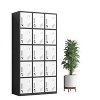 Armoire de rangement en acier CAYD à 15 portes avec serrure à clé, portes à fermeture automatique, montage au sol, étanche - pour école/bureau/salle de sport