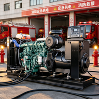 Générateur diesel de secours robuste 200KW 250KVA 380V 220V 60Hz triphasé avec ATS démarrage automatique pour usine au Pérou