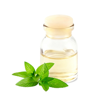 Huile Essentielle de Menthe Verte 100% Pure et Naturelle, Distillée à la Vapeur, Qualité Alimentaire et Cosmétique, Haute Qualité, Vente en Gros