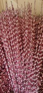 Tiras Espirales de PET de Babysbreath al por Mayor, Personalizables en Color y Tamaño, Suministros de Decoración para Navidad y el Hogar, Pedido Mínimo - Product Image 6