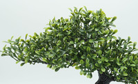 Ornement en pot de simulation Arbre bonsaï artificiel d'intérieur pour la décoration