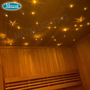20W Glasfaser-Lichtquelle Weiße LED-Farbrad-Sternenhimmel-Lichtquelle für Innenraum-Sauna-Beleuchtung - Product Image 5