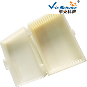 Factory direct shipment: Paramecium amitosis reproductive slides for university genetics teaching <b>microscopes</b>. - Product Image 4