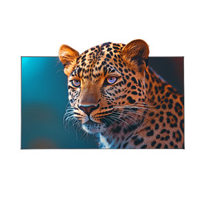 SLJ 120 pouces ALR CLR écran à cadre fixe nouvelle génération pour Wemax pour projecteur <span class=keywords><strong>Laser</strong></span> Xiaomi <span class=keywords><strong>VAVA</strong></span> <span class=keywords><strong>4K</strong></span> <span class=keywords><strong>UST</strong></span> 16:9 en cristal PET - Product Image 1