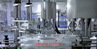 Chaîne de production automatique double tête pour le bouchage à vis et l'étiquetage de bouteilles en plastique – Offre Spéciale