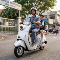 Wholesale Electric Motorcycle 60V 72V 20Ah Battery Scooter for Southeast Asia Market