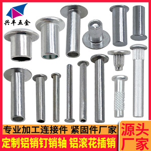 Aluminum Dowel <b>Pins</b> Standard Cylindrical Head Grade A For General Use - Product Image 4