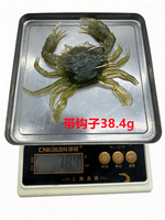 Appâts de pêche en mer 38g pour jigging, crabes bioniques, leurres souples 3D de simulation de crabes, leurres ver, crankbaits, hameçons de pêche, swimbaits