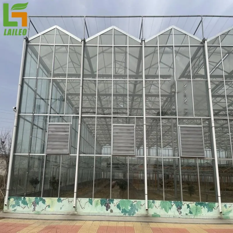 Venlo type agricultural multi-span greenhouse commercial glass green house for sale