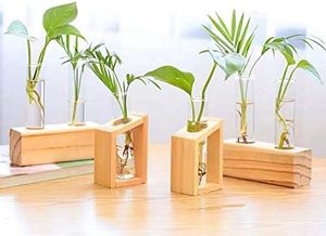 JUNJI-Mini Terrario de vidrio <span class=keywords><strong>para</strong></span> plantas hidropónicas y decoración de jardín, <span class=keywords><strong>sirve</strong></span> como maceta - Product Image 5