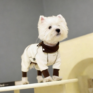 Maglia a Quattro Zampe per Cuccioli, Abbigliamento Caldo Protettivo per la Pancia, Realizzato in Pile <span class=keywords><strong>Tailandese</strong></span> per Teddy, Bichon, Schnauzer - Product Image 4