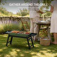 Barbecue portable au charbon de bois, barbecue pliable pour le camping, mini barbecue de table avec étagère pour le jardin en plein air
