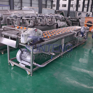 Endüstriyel hava kabarcığı daldırma meyve ve sebze turuncu ananas yıkama temizleme makinesi için topalak karides temizleyici - Product Image 3