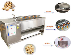Machine à laver les fruits et les pommes de terre personnalisée la plus vendue, de haute qualité - Product Image 3