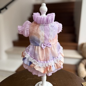 Vêtements d'hiver pour chiens, nouveau style, robe de princesse pour petits chiens et combinaison pour Bichon Frise, vente en gros disponible - Product Image 4