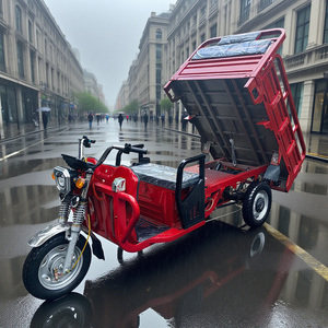 <span class=keywords><strong>Tricycle</strong></span> électrique <span class=keywords><strong>vintage</strong></span> personnalisable en usine, grande puissance et charge maximale - Product Image 2