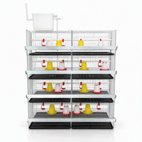 Cages à poussins WIN à 4 niveaux pour 20 000 poussins, équipement d'élevage avicole, conception directe usine