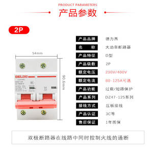 Disjoncteur principal monophasé haute puissance Delixi 2P 220V DZ47-125 pour usage domestique - Product Image 4