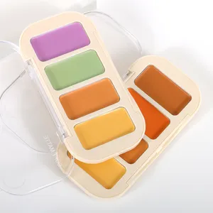 Palette correttore private label vegano sotto gli occhi illuminante copertura completa oem crema professionale correttore opaco