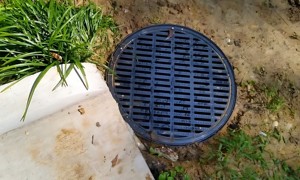 Aggiorna il Kit di drenaggio del bacino di cattura da 12 pollici con filtro a cestello per detriti, adatto per tubi di dimensioni 4 (2 ",3",4-3/8 ",6-3/8"), per giardino - Product Image 3