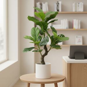 Figuier à feuilles de violon artificiel, hyper-réaliste, <span class=keywords><strong>en</strong></span> plastique, résistant aux intempéries, <span class=keywords><strong>pour</strong></span> l'intérieur et l'extérieur, décoration de <span class=keywords><strong>jardin</strong></span>, décoration de maison, paysagiste, vente <span class=keywords><strong>en</strong></span> gros - Product Image 2