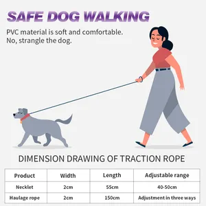 Collares impermeables personalizados de PVC, juego de correas para caminar perros y gatos pequeños, medianos y grandes